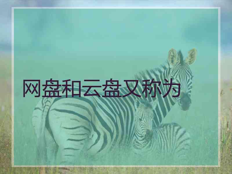 网盘和云盘又称为