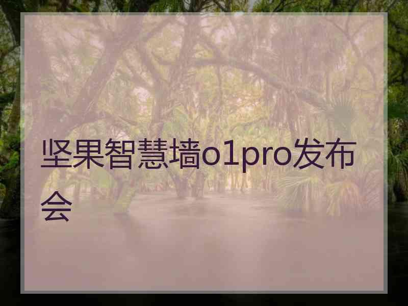 坚果智慧墙o1pro发布会