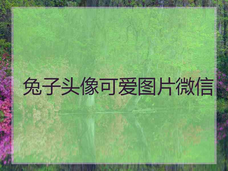 兔子头像可爱图片微信