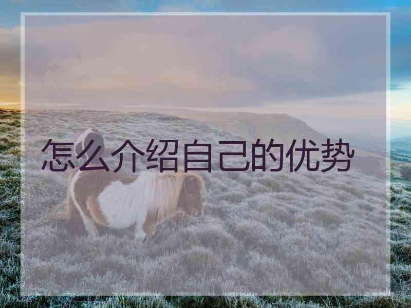 怎么介绍自己的优势