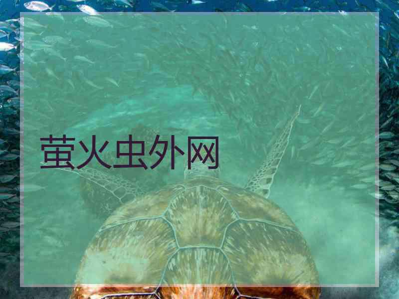 萤火虫外网