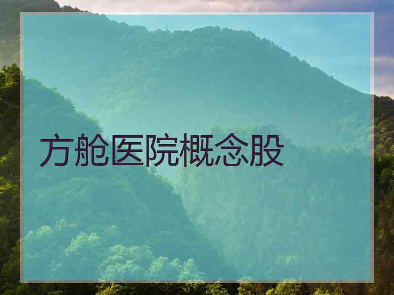 方舱医院概念股