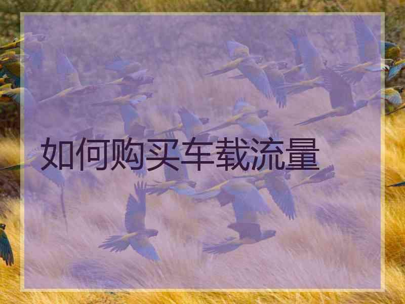 如何购买车载流量