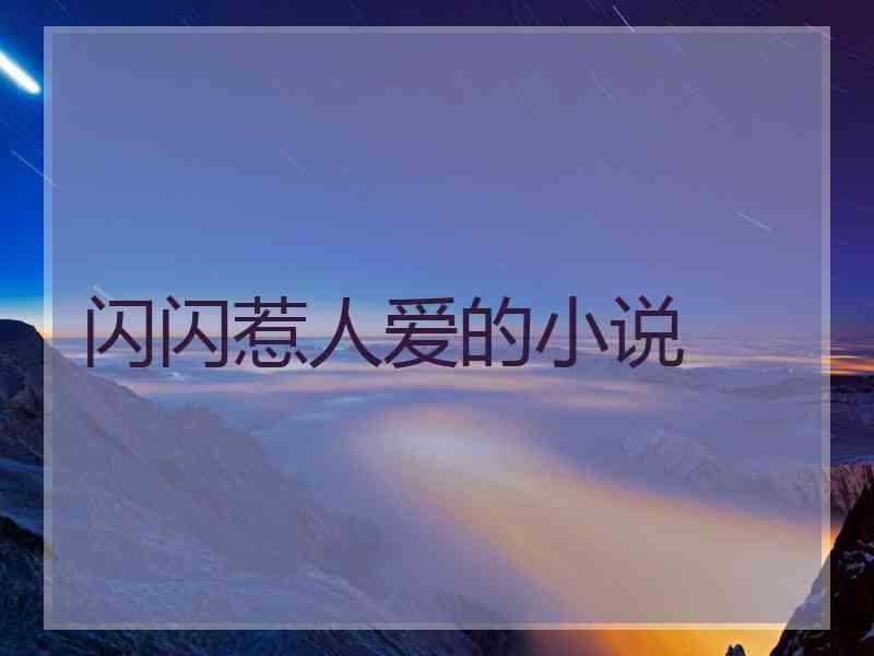 闪闪惹人爱的小说