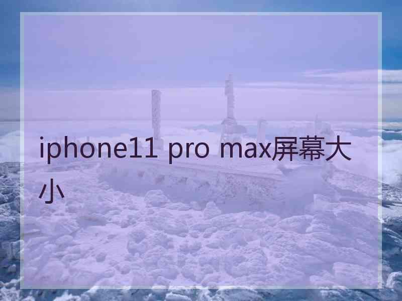 iphone11 pro max屏幕大小