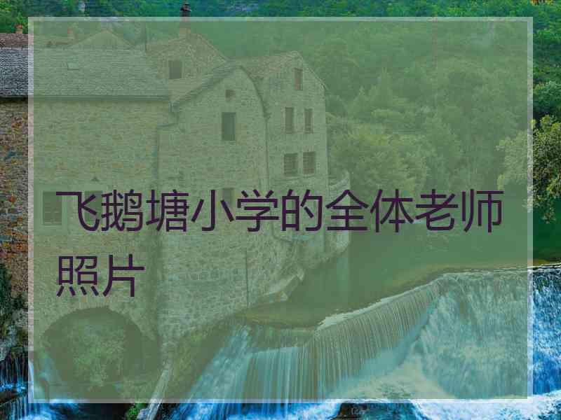飞鹅塘小学的全体老师照片