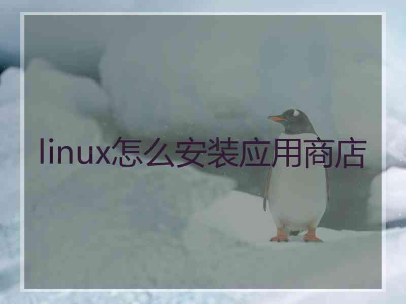 linux怎么安装应用商店