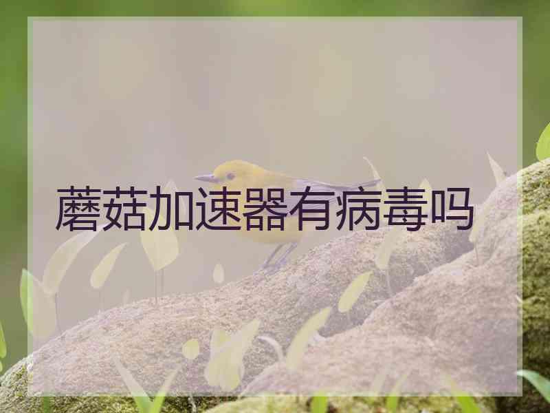 蘑菇加速器有病毒吗