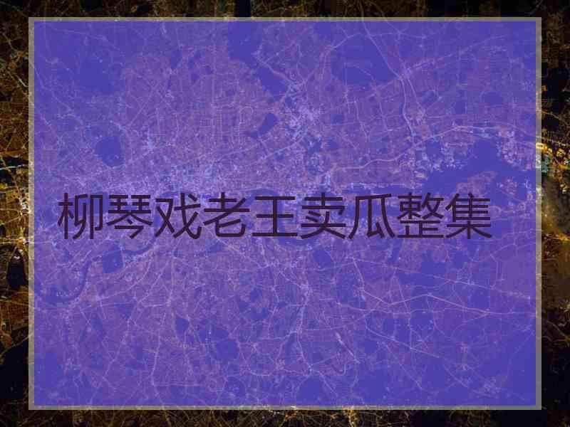 柳琴戏老王卖瓜整集