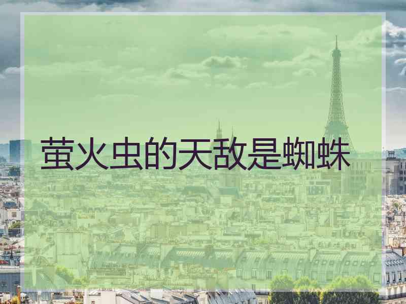 萤火虫的天敌是蜘蛛