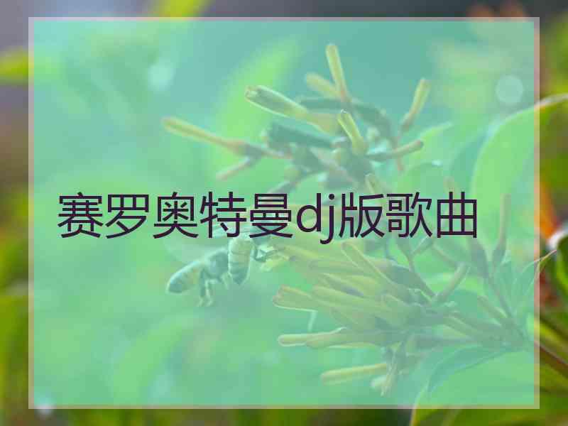 赛罗奥特曼dj版歌曲