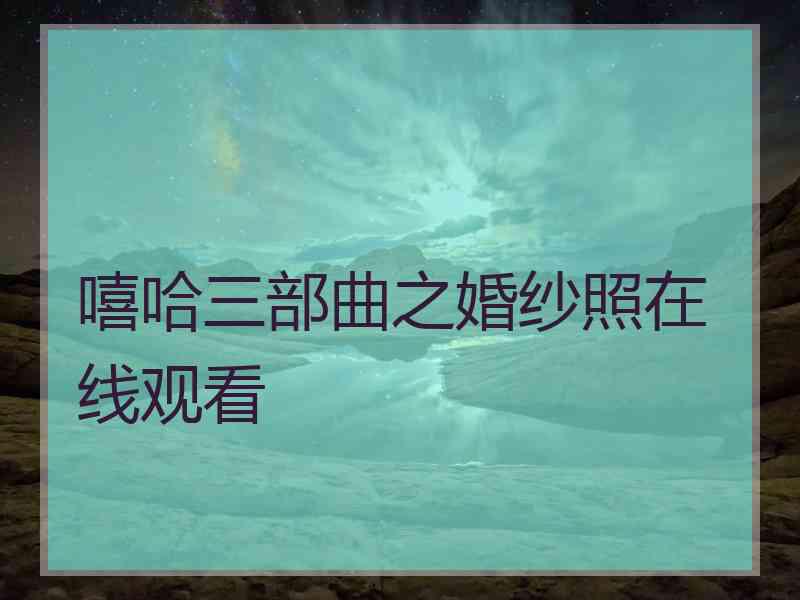 嘻哈三部曲之婚纱照在线观看