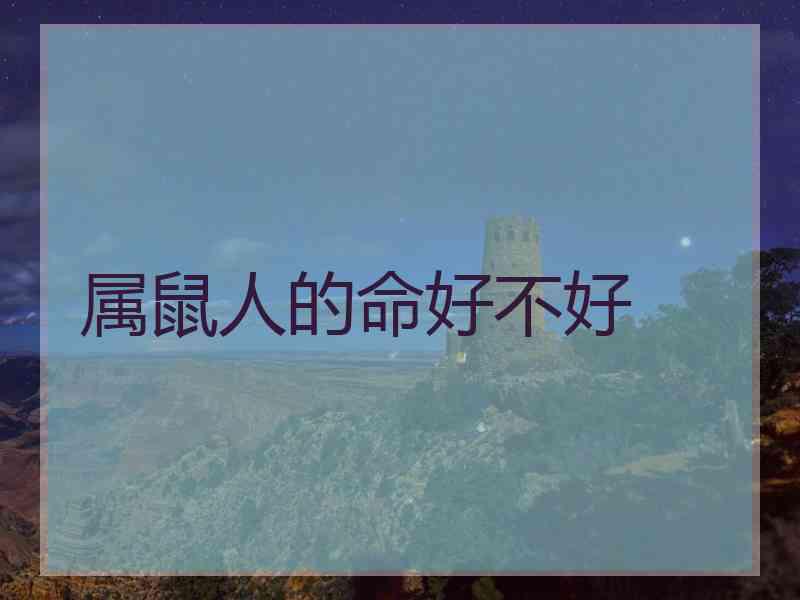 属鼠人的命好不好