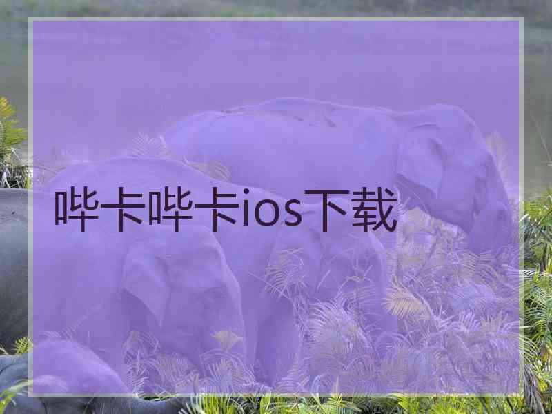 哔卡哔卡ios下载