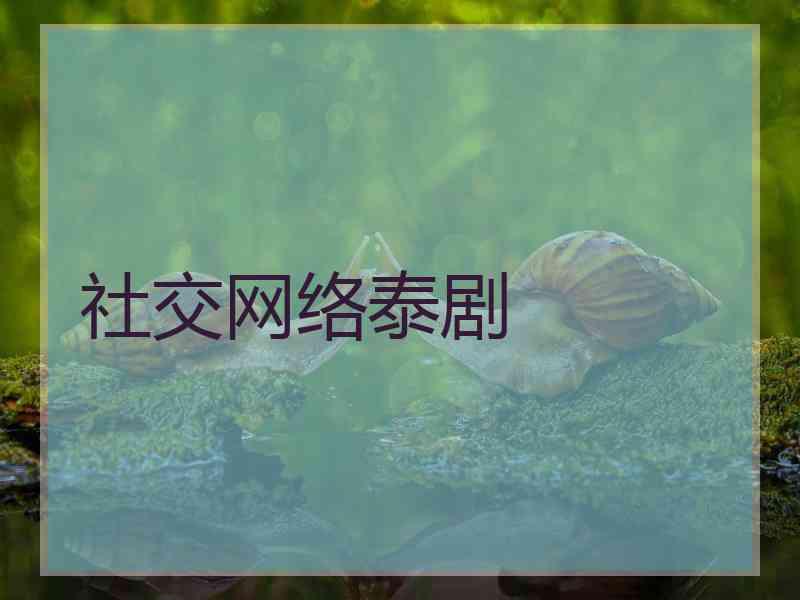 社交网络泰剧