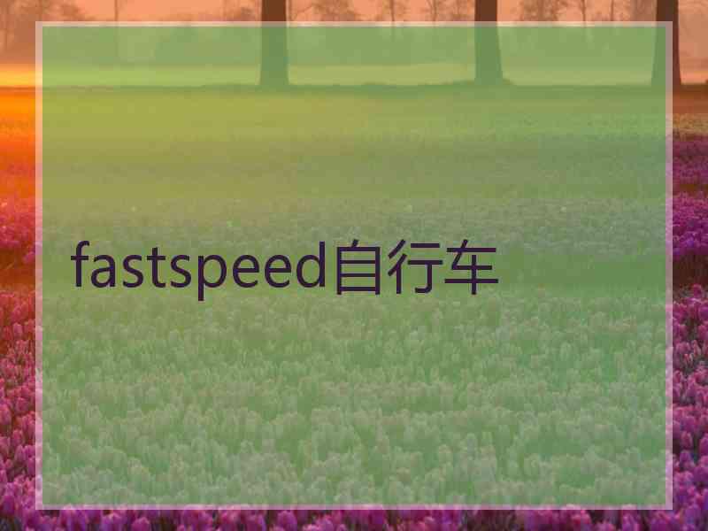fastspeed自行车