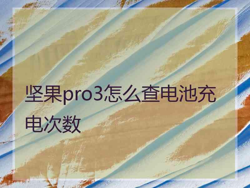 坚果pro3怎么查电池充电次数