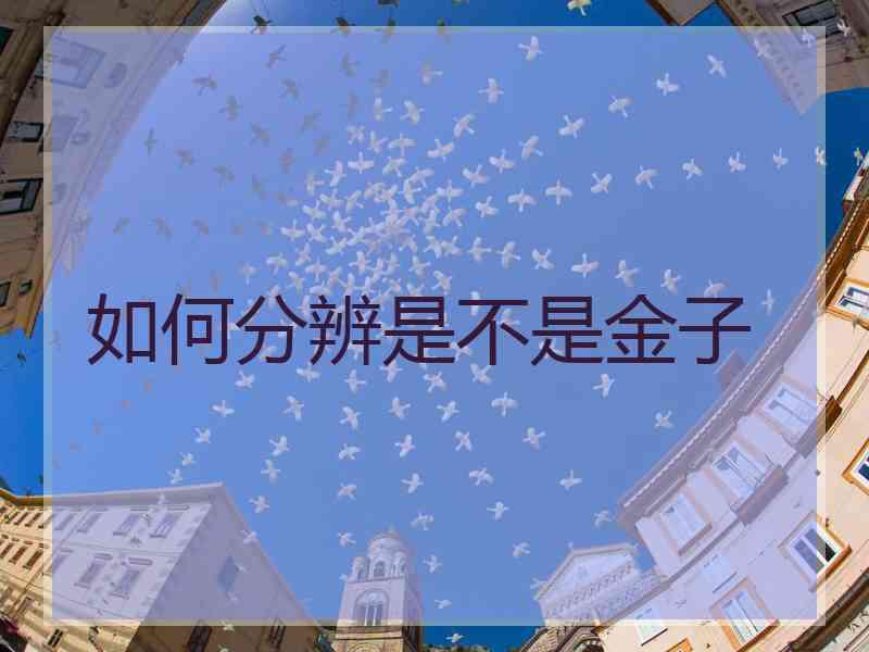 如何分辨是不是金子