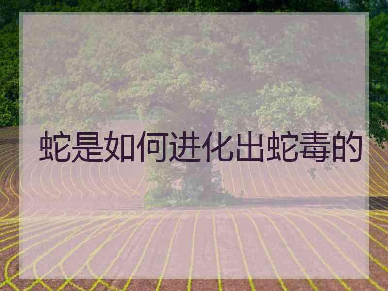 蛇是如何进化出蛇毒的