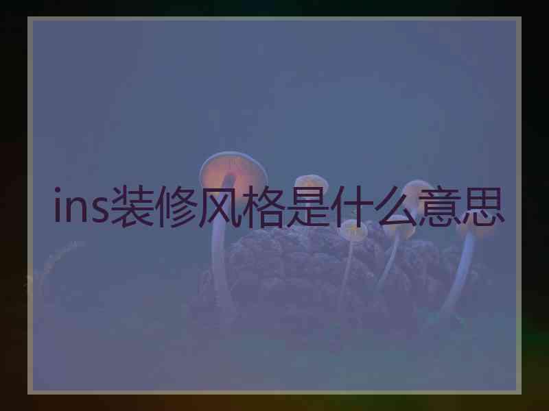ins装修风格是什么意思