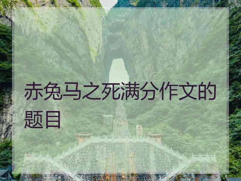 赤兔马之死满分作文的题目