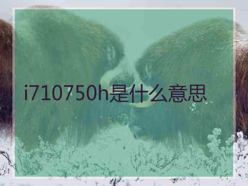 i710750h是什么意思