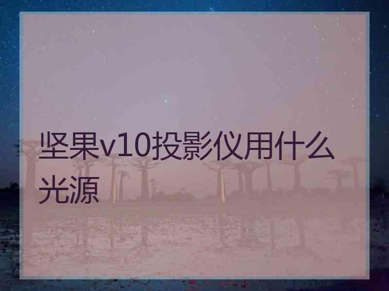 坚果v10投影仪用什么光源