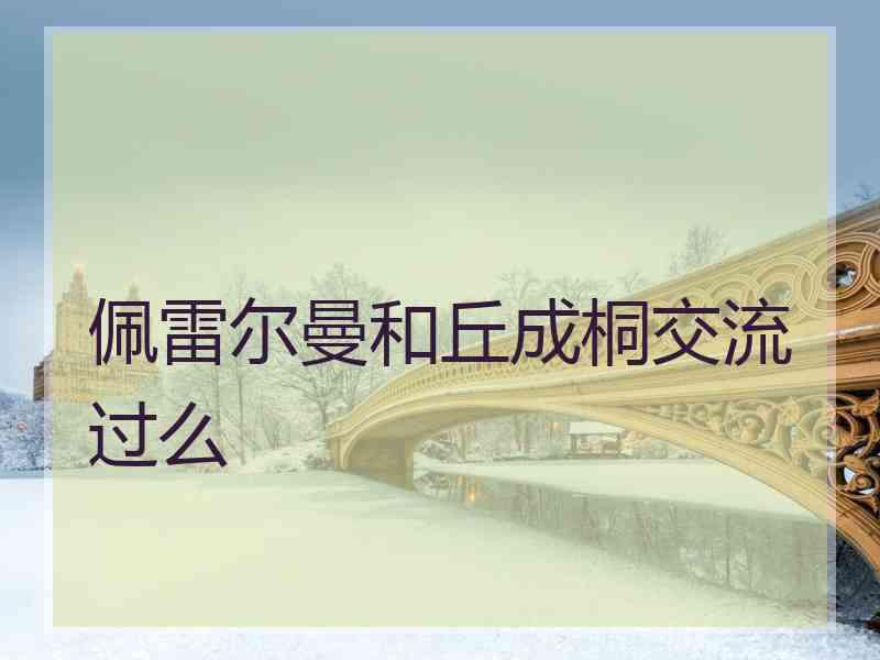 佩雷尔曼和丘成桐交流过么