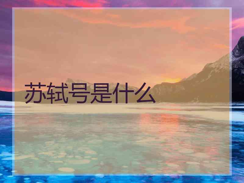 苏轼号是什么