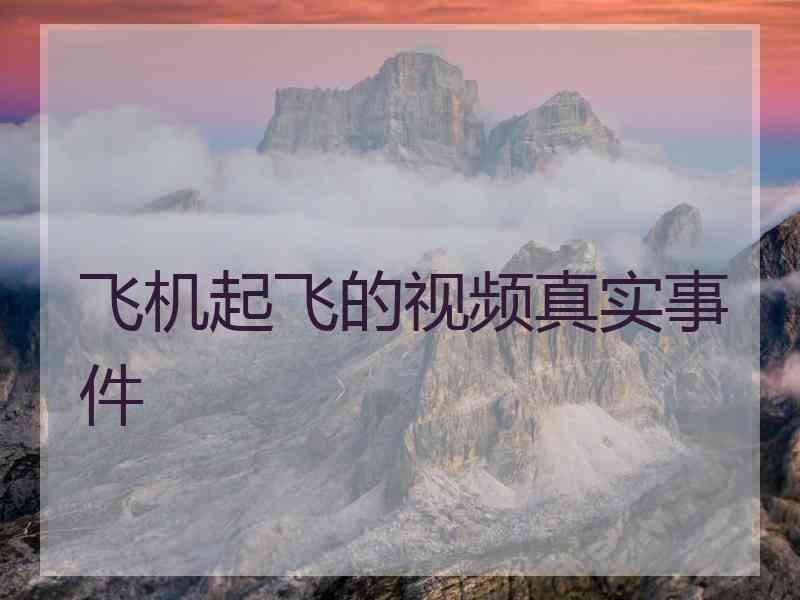 飞机起飞的视频真实事件