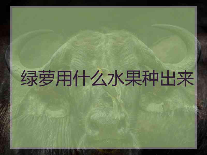 绿萝用什么水果种出来