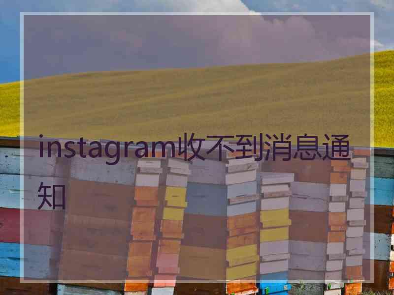 instagram收不到消息通知