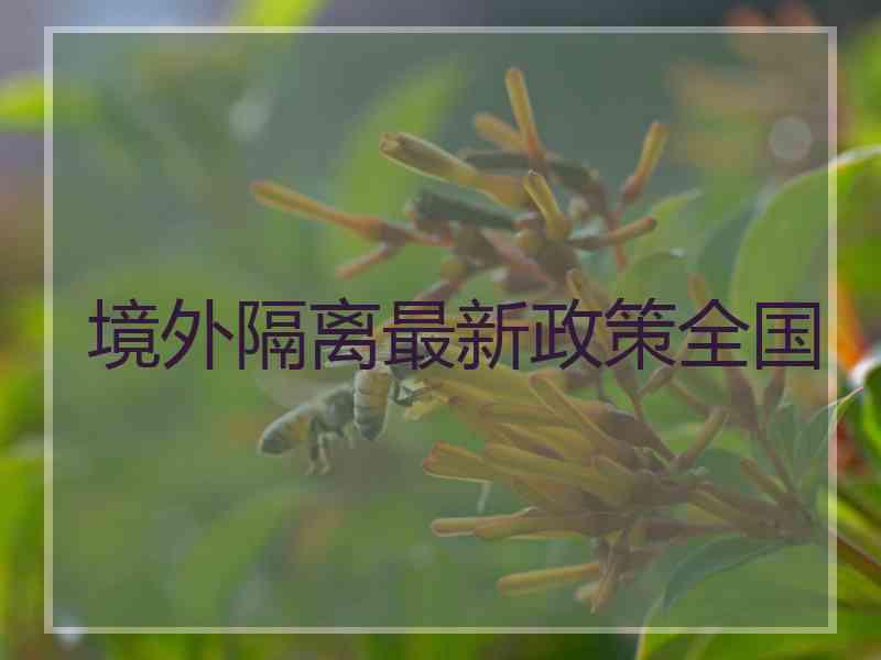 境外隔离最新政策全国