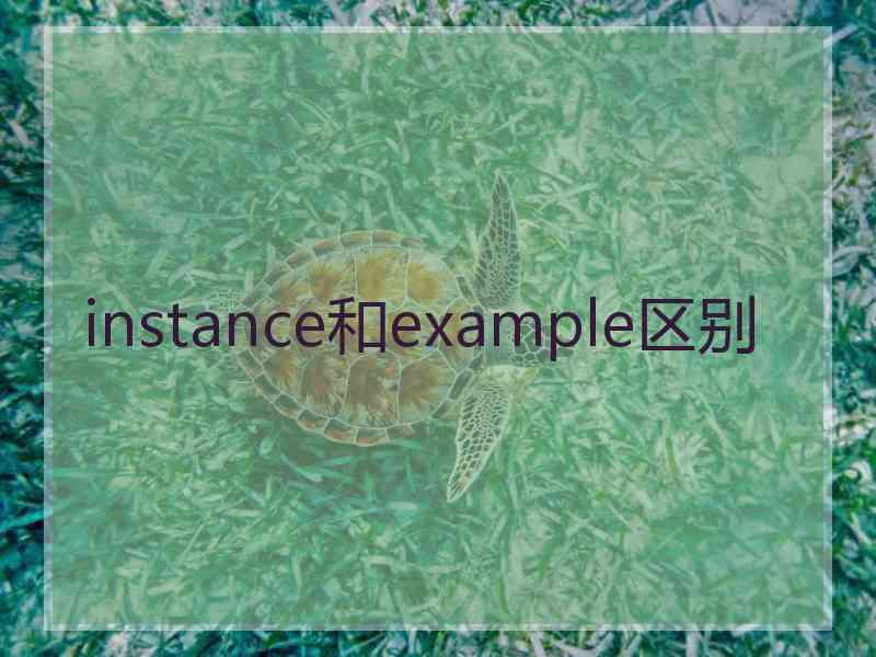 instance和example区别
