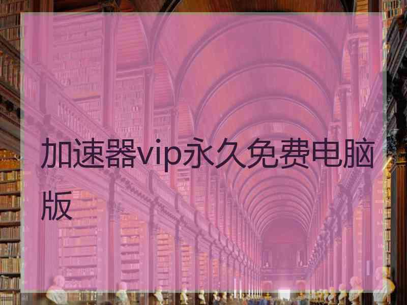 加速器vip永久免费电脑版