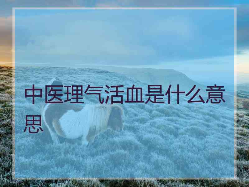 中医理气活血是什么意思