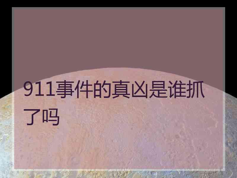 911事件的真凶是谁抓了吗