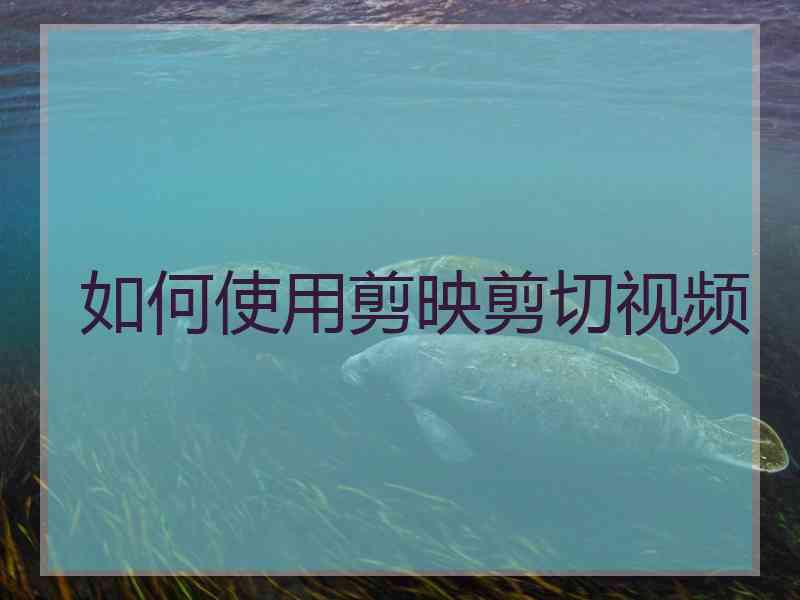 如何使用剪映剪切视频