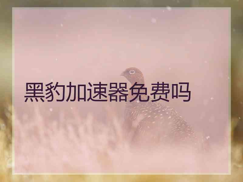 黑豹加速器免费吗