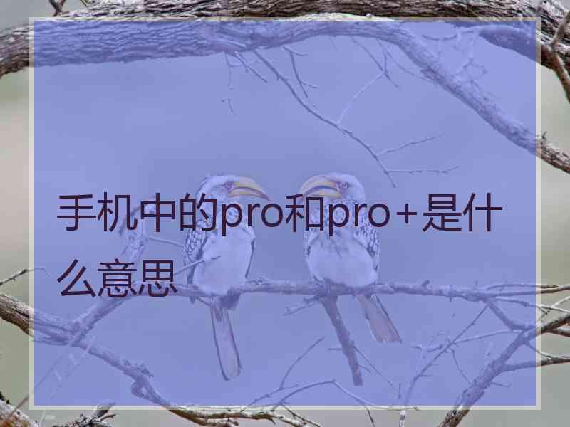 手机中的pro和pro+是什么意思