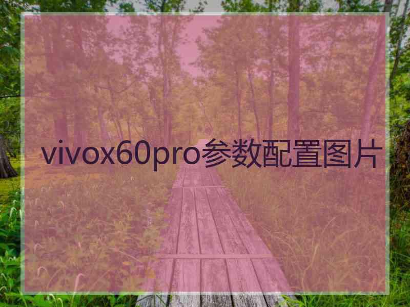 vivox60pro参数配置图片
