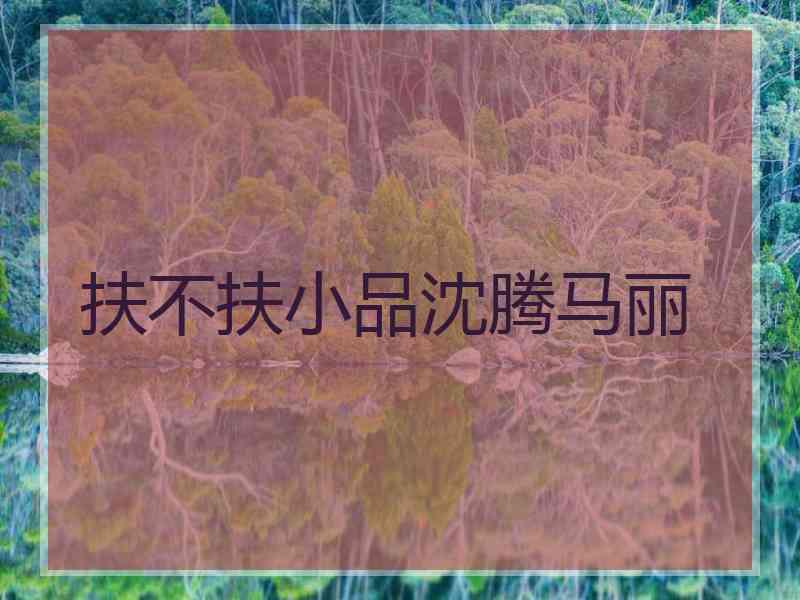 扶不扶小品沈腾马丽
