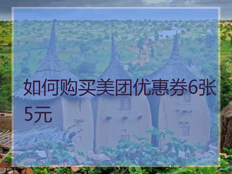 如何购买美团优惠券6张5元