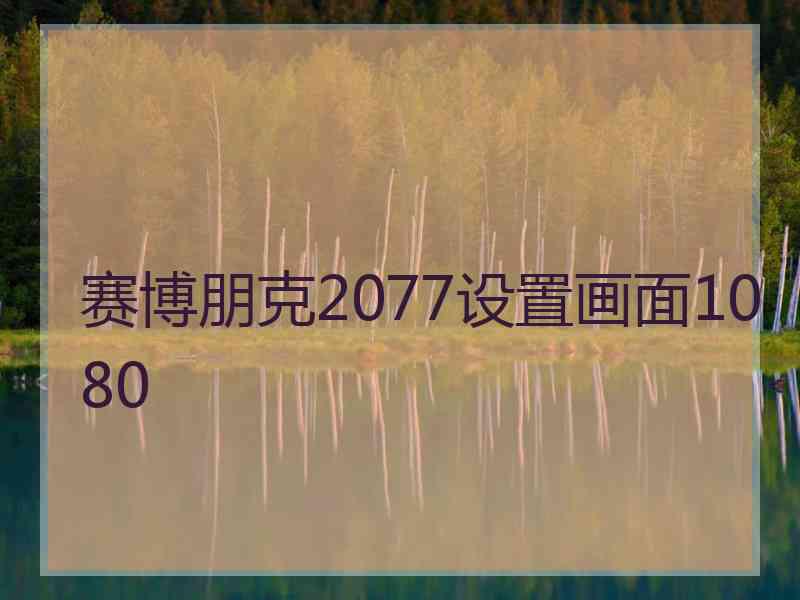 赛博朋克2077设置画面1080