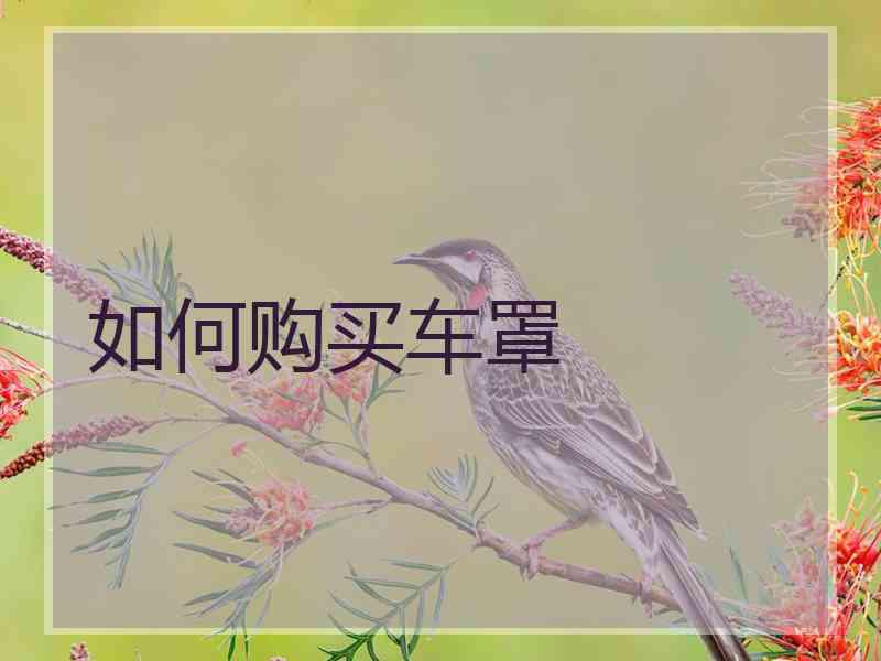 如何购买车罩