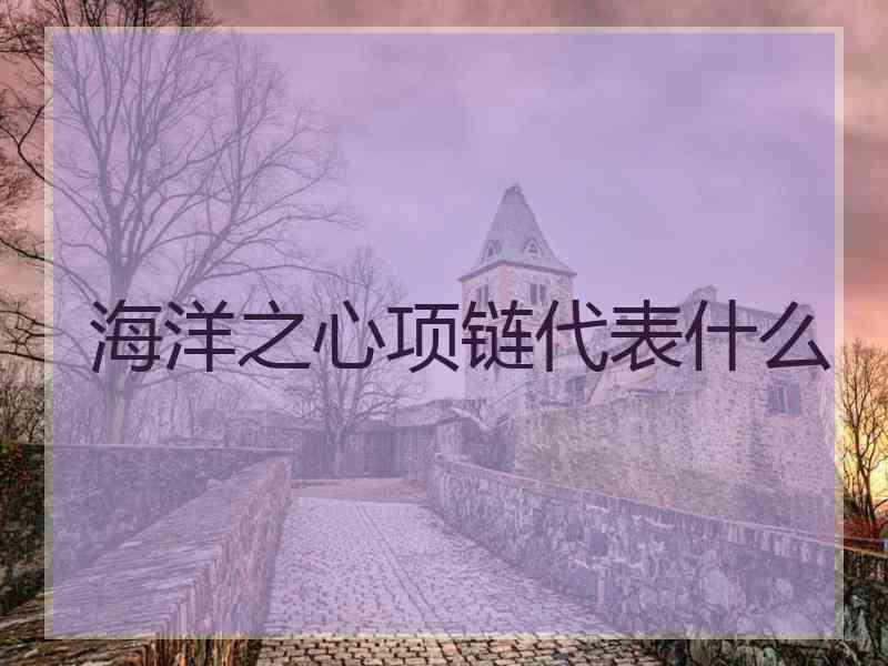 海洋之心项链代表什么