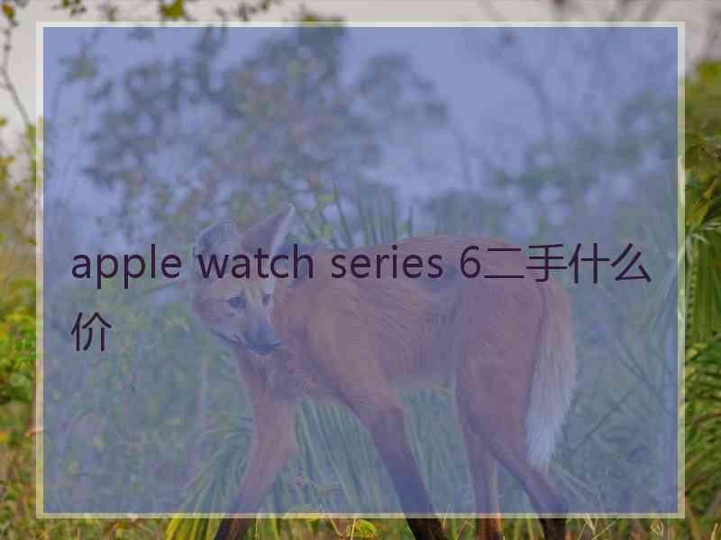 apple watch series 6二手什么价
