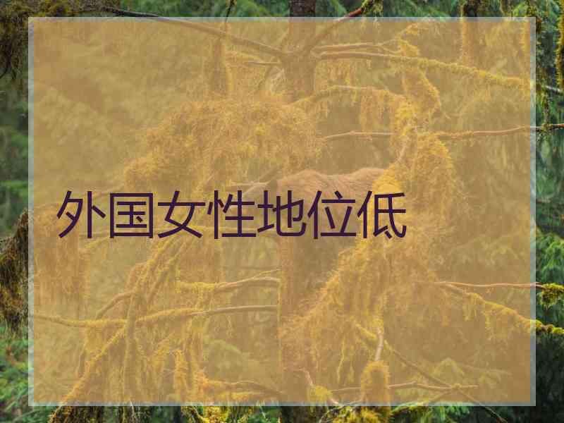 外国女性地位低