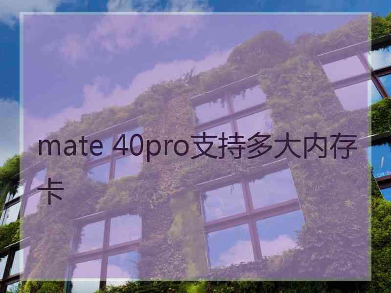 mate 40pro支持多大内存卡