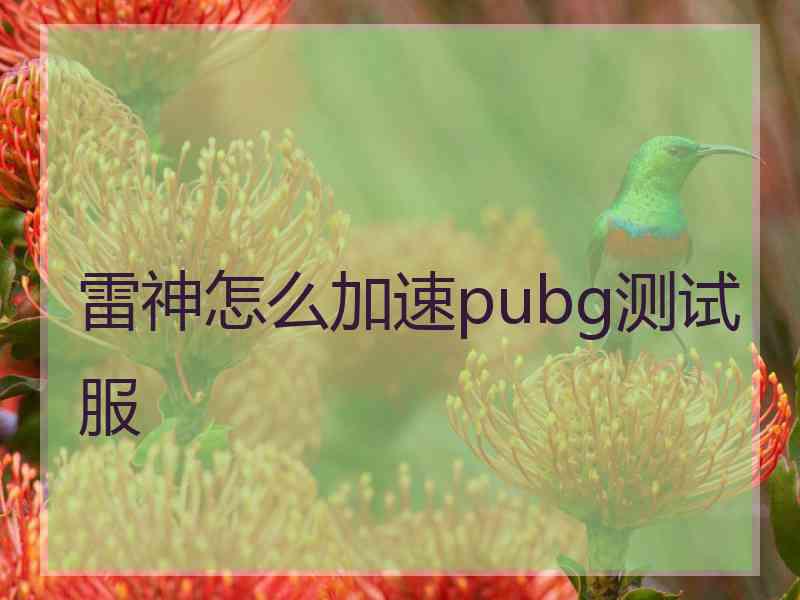 雷神怎么加速pubg测试服